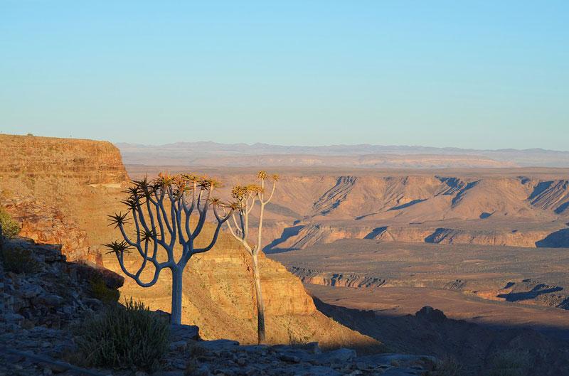 Réserve naturelle de Namib