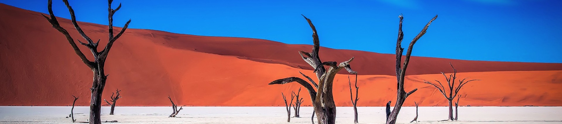 Agence de voyage en Afrique