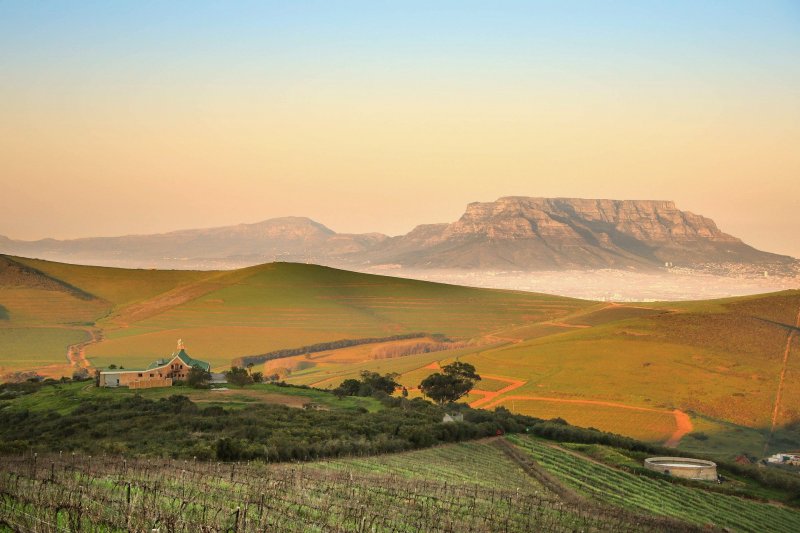 Jours 8 à 14 : Visite de la Table Mountain et randonnée à travers la nature