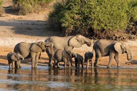 Voyage découverte Botswana et Afrique du Sud